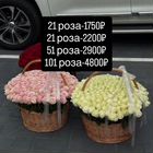 Розы кения в корзине 51,101,201,301,501