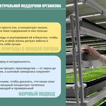 Бизнес на натуральных соках, Мядель
