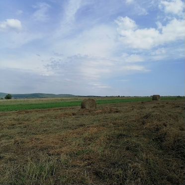 Сено в тюках