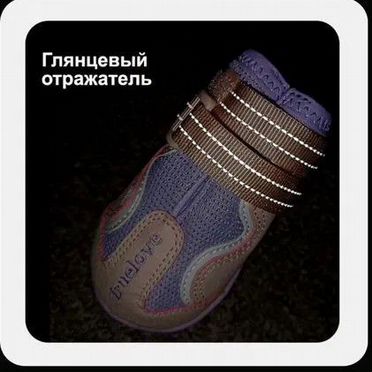 Ботинки для собак