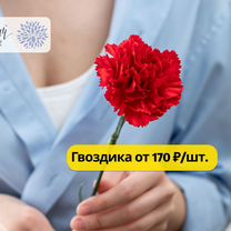 Цветы. Гвоздики с доставкой в Улан-удэ, Улан-Удэ