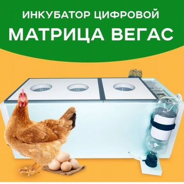 Инкубатор для яиц блиц на 90