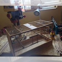 Деревянная клетка для канареек, 60 см, Москва