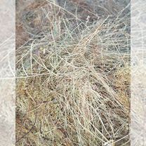 Продам сено в рулонах, Чита