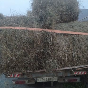 Продам сено в рулонах 200-210 кг