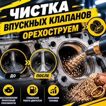 Чистка впускных клапанов грецким орехом, Воронеж