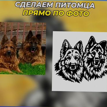 Питомцы по фото таблички на дом